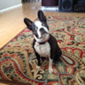 Meet your Posher, Liisa